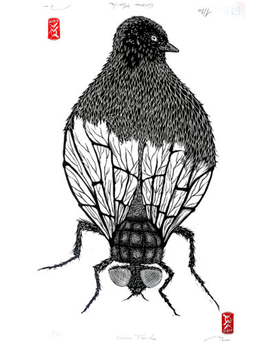 Oiseau-Mouche